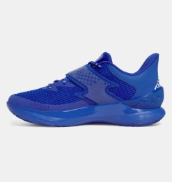 Ｄ*Ｔ様 CURRY FOX1 29cm Curry Fox 1 'Lexington' Grade School Basketball Shoes